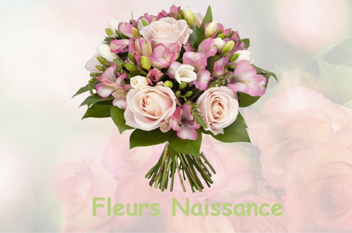 fleurs naissance TESSANCOURT-SUR-AUBETTE